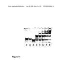 Nucleic Acid Complex diagram and image