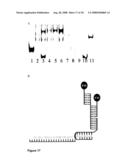 Nucleic Acid Complex diagram and image