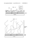 Biosensor and Method diagram and image