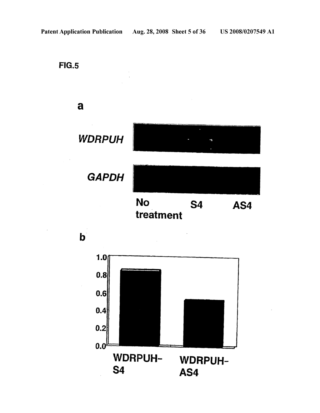 GENES AND POLYPEPTIDES RELATING TO HEPATOCELLULAR OR COLORECTAL CARCINOMA - diagram, schematic, and image 06