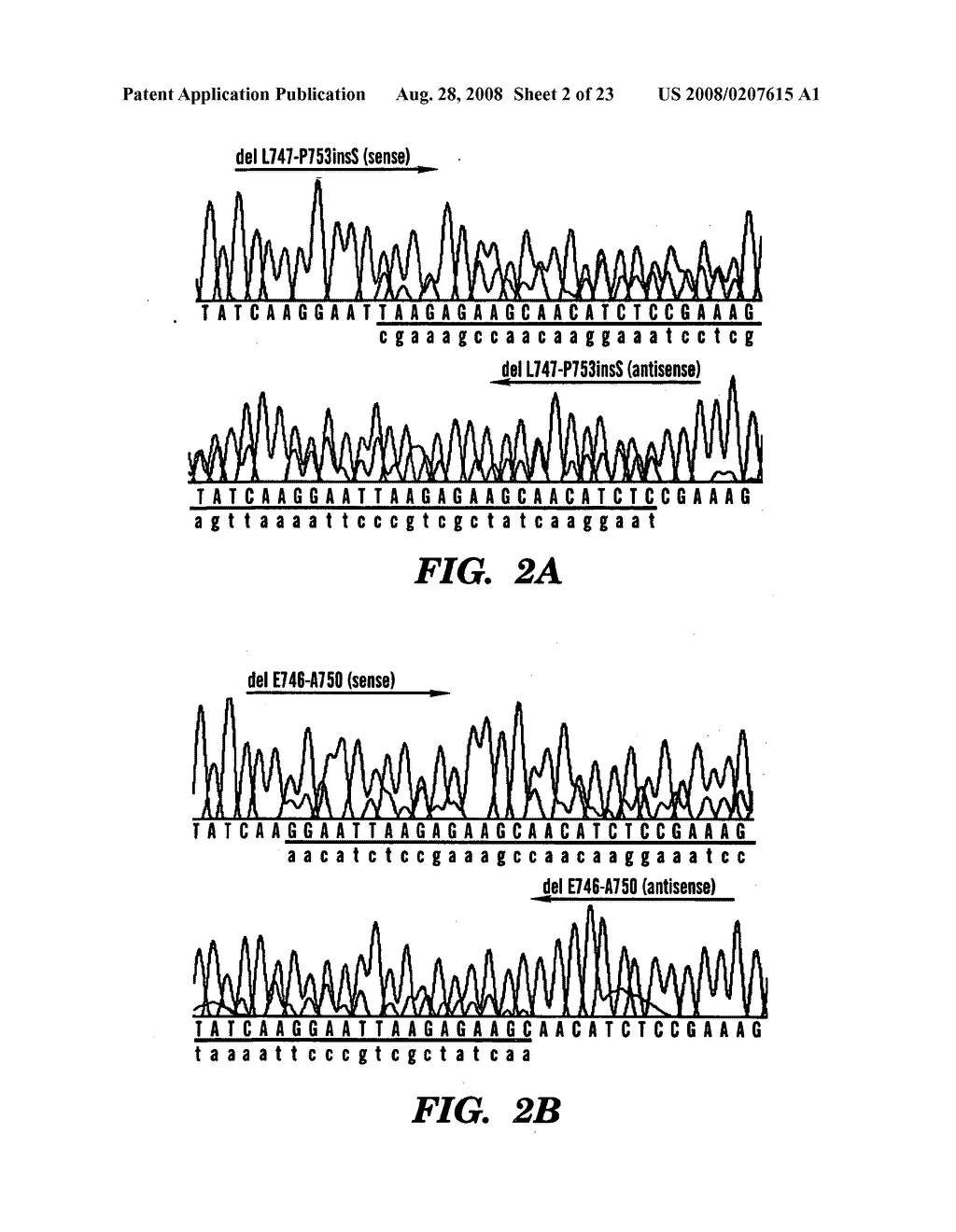 Method to determine responsiveness of cancer to epidermal growth factor receptor targeting treatments - diagram, schematic, and image 03