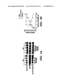 Method to determine responsiveness of cancer to epidermal growth factor receptor targeting treatments diagram and image