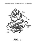 Method to determine responsiveness of cancer to epidermal growth factor receptor targeting treatments diagram and image