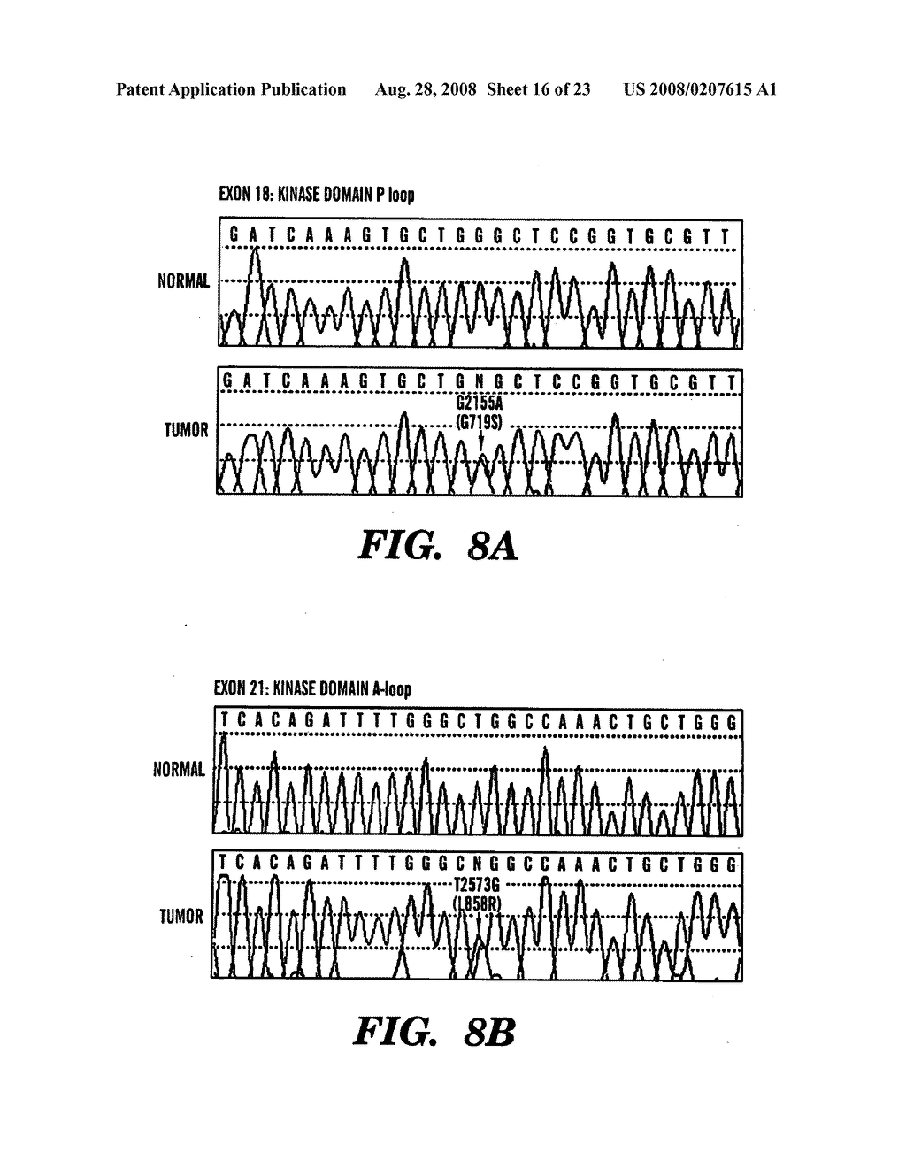 Method to determine responsiveness of cancer to epidermal growth factor receptor targeting treatments - diagram, schematic, and image 17