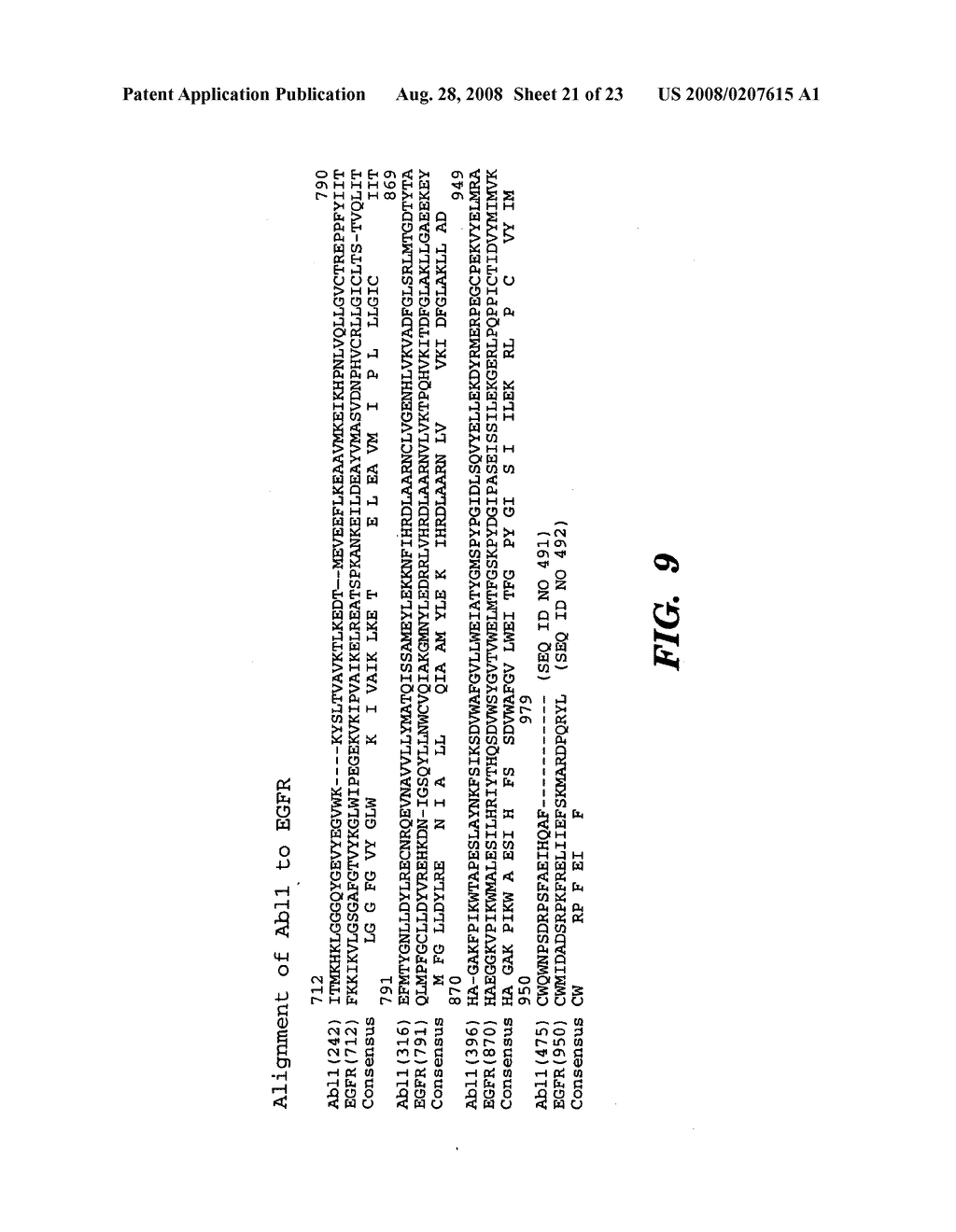 Method to determine responsiveness of cancer to epidermal growth factor receptor targeting treatments - diagram, schematic, and image 22