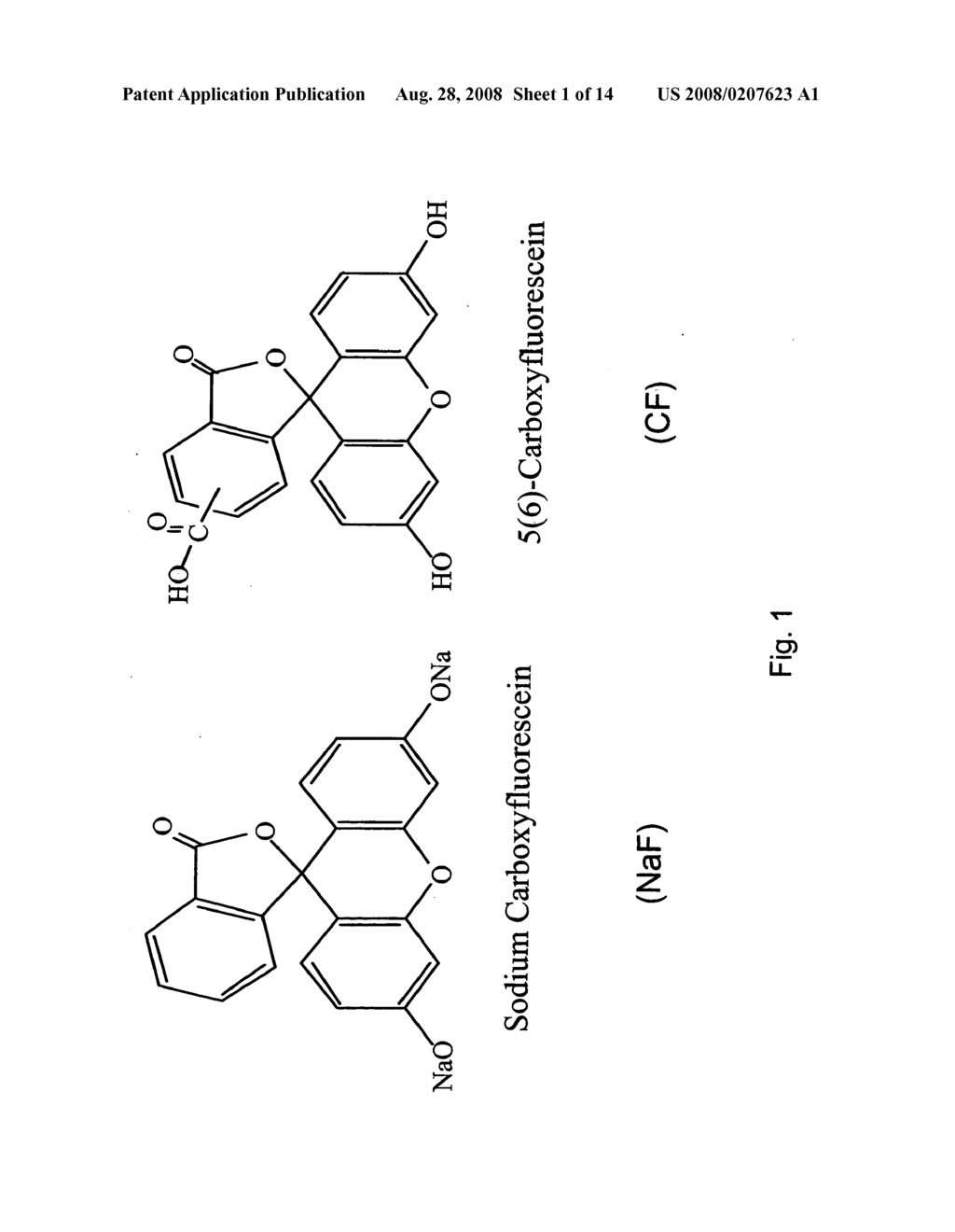 Peptide-enhanced corneal drug delivery - diagram, schematic, and image 02