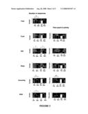 Use of Epothilones in the Treatment of Neuronal Connectivity Defects Such as Schizophrenia and Autism diagram and image