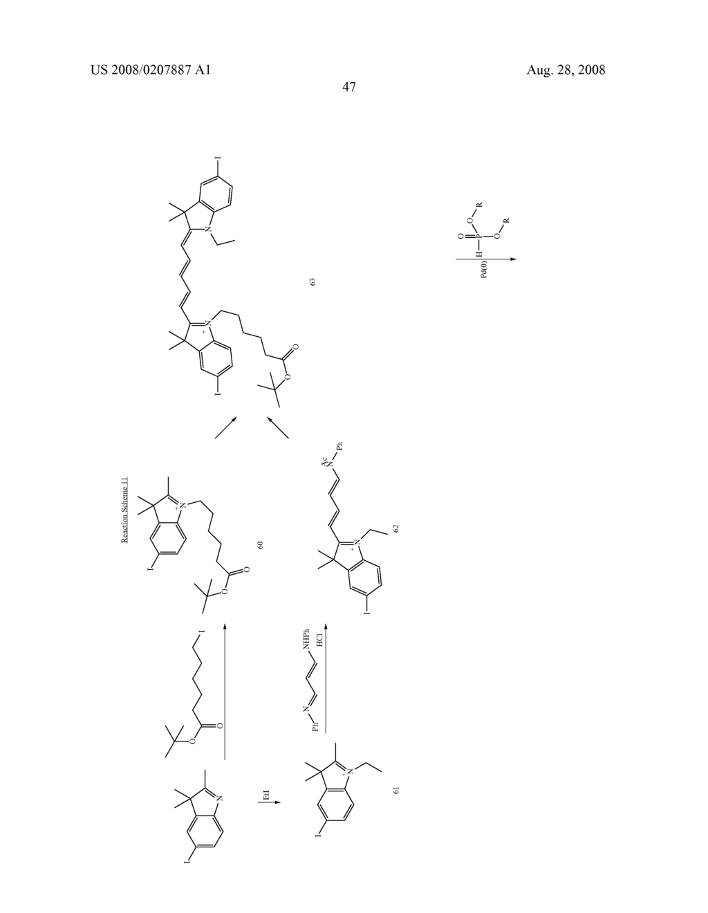 PHOSPHONYLATED FLUORESCENT DYES AND CONJUGATES - diagram, schematic, and image 53