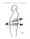 Lower Back Orthosis diagram and image