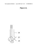 Means for Functional Restoration of a Damaged Nervous System diagram and image