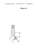 Means for Functional Restoration of a Damaged Nervous System diagram and image