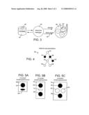 Method For Rendering Information On A Display diagram and image