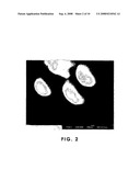 Method of Decomposing Carbon Dioxide and Method of Forming Carbon-Particle Structure diagram and image