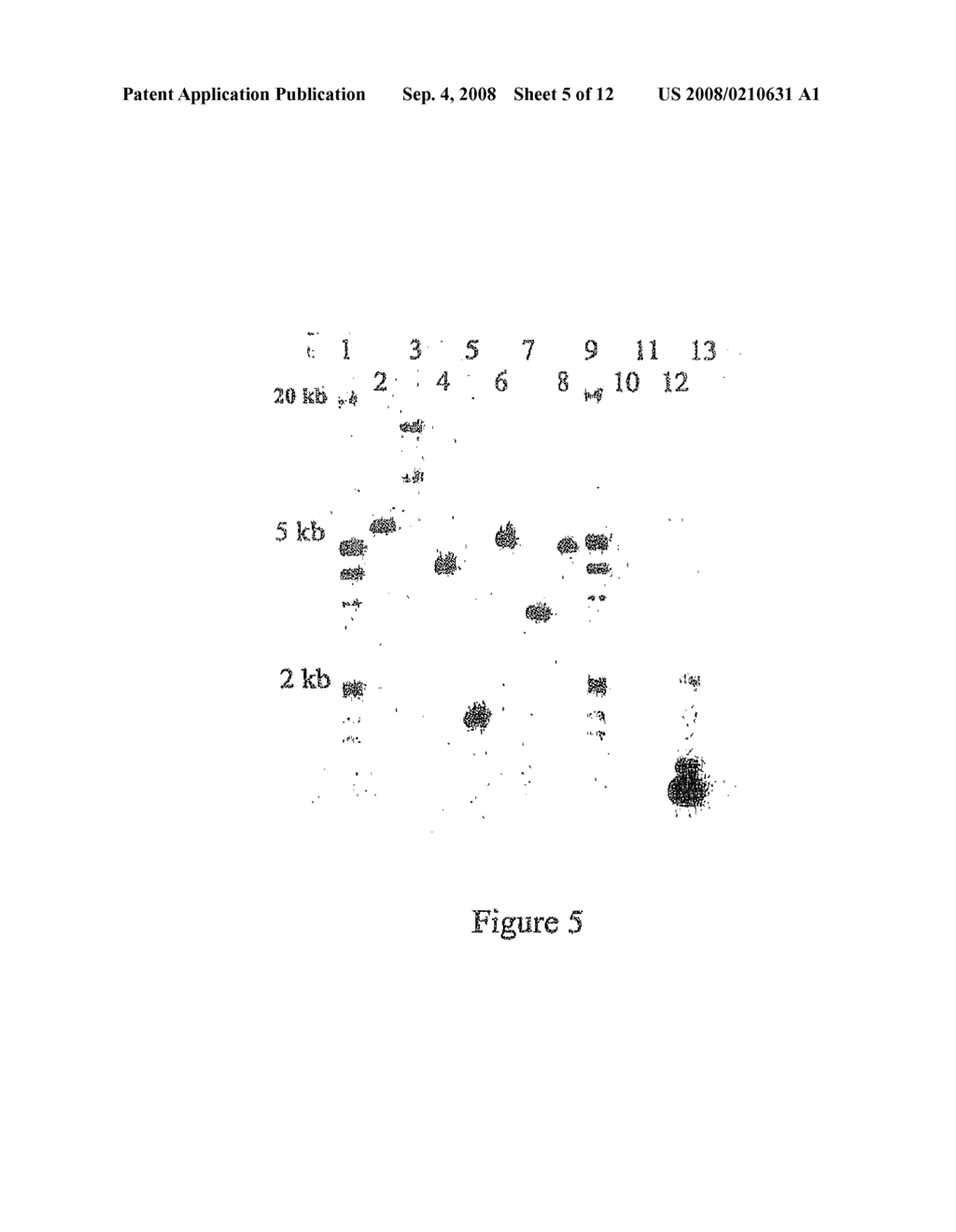 Polypeptides Having an Activity in the Mtbe Degradation Path and Uses Thereof - diagram, schematic, and image 06