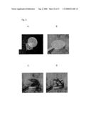 Process for Identification of Compounds for Modulating the Activity of Sodium/Calcium Exchange Transporter diagram and image