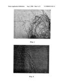 Method of Synthesising a Support Catalyst for the Production of Carbon Nanotubes diagram and image