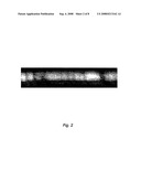 Amplification of Carbon Nanotubes Via Seeded-Growth Methods diagram and image