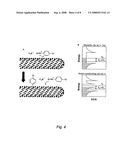 Amplification of Carbon Nanotubes Via Seeded-Growth Methods diagram and image