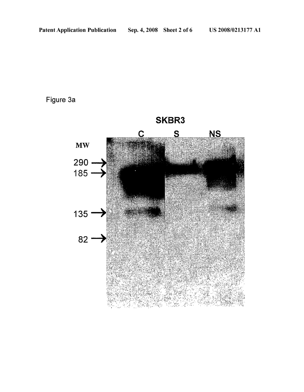 Nanoparticles Comprising Rna Ligands - diagram, schematic, and image 03