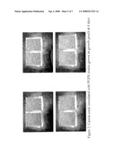 SULFUR-OXIDIZING PLANT GROWTH PROMOTING RHIZOBACTERIA FOR ENHANCED CANOLA PERFORMANCE diagram and image