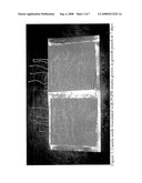 SULFUR-OXIDIZING PLANT GROWTH PROMOTING RHIZOBACTERIA FOR ENHANCED CANOLA PERFORMANCE diagram and image