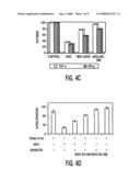 Mesenchymal stem cells and uses therefor diagram and image