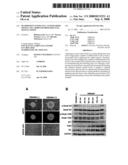 Pluripotent Stem Cell Cloned From Single Cell Derived From Skeletal Muscle Tissue diagram and image