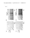 Pluripotent Stem Cell Cloned From Single Cell Derived From Skeletal Muscle Tissue diagram and image