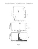 RAC-PK as a therapeutic agent or in diagnostics, screening method for agents and process for activating RAC-PK diagram and image