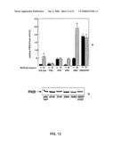 RAC-PK as a therapeutic agent or in diagnostics, screening method for agents and process for activating RAC-PK diagram and image