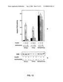 RAC-PK as a therapeutic agent or in diagnostics, screening method for agents and process for activating RAC-PK diagram and image