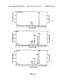 RAC-PK as a therapeutic agent or in diagnostics, screening method for agents and process for activating RAC-PK diagram and image