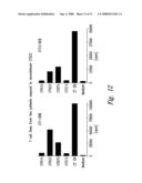 COMPOUNDS AND METHODS FOR TREATMENT AND DIAGNOSIS OF CHLAMYDIAL INFECTION diagram and image