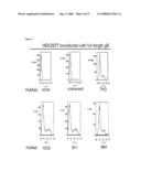 HUMAN CYTOMEGALOVIRUS NEUTRALISING ANTIBODIES AND USE THEREOF diagram and image