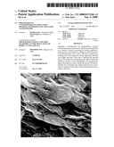 Preparation of Nanoliposome-Encapsulating Proteins and Protein-Encapsulated Nanoliposome diagram and image