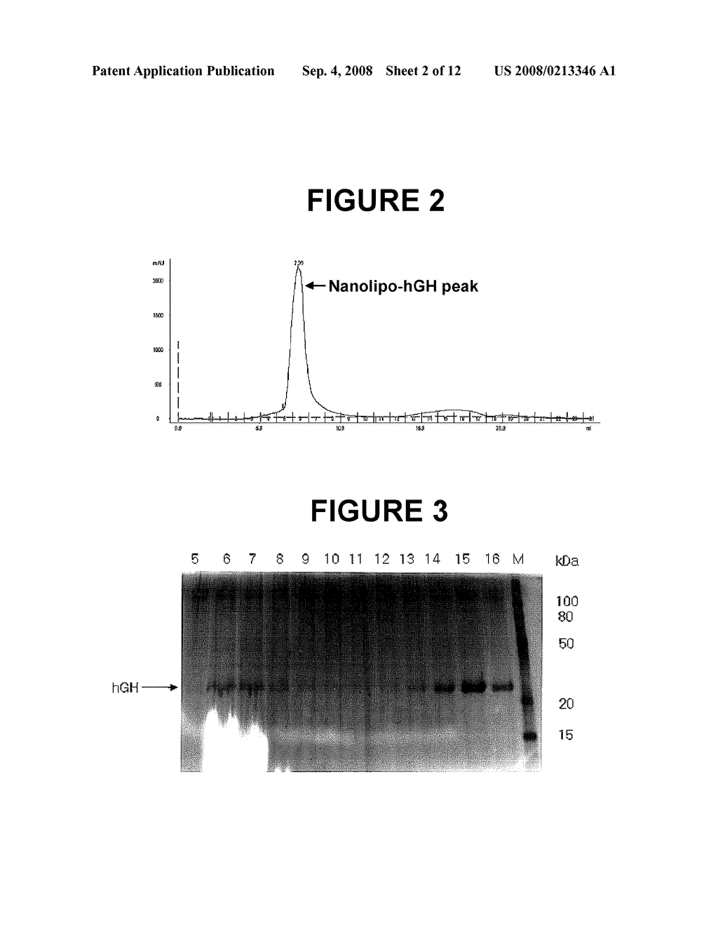 Preparation of Nanoliposome-Encapsulating Proteins and Protein-Encapsulated Nanoliposome - diagram, schematic, and image 03