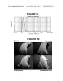 Preparation of Nanoliposome-Encapsulating Proteins and Protein-Encapsulated Nanoliposome diagram and image