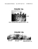 Preparation of Nanoliposome-Encapsulating Proteins and Protein-Encapsulated Nanoliposome diagram and image