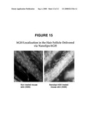 Preparation of Nanoliposome-Encapsulating Proteins and Protein-Encapsulated Nanoliposome diagram and image