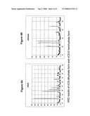 Calcium sulfate based nanoparticles diagram and image