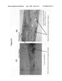 Calcium sulfate based nanoparticles diagram and image