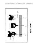 SYNTHETIC PLATELETS diagram and image