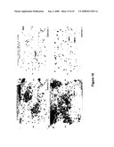 SYNTHETIC PLATELETS diagram and image