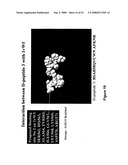 SYNTHETIC PLATELETS diagram and image