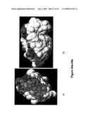 SYNTHETIC PLATELETS diagram and image