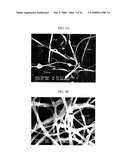 Three-Dimensional Scaffolds for Tissue Engineering Made by Processing Complex Extracts of Natural Extracellular Matrices diagram and image