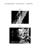 Three-Dimensional Scaffolds for Tissue Engineering Made by Processing Complex Extracts of Natural Extracellular Matrices diagram and image