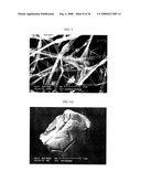 Three-Dimensional Scaffolds for Tissue Engineering Made by Processing Complex Extracts of Natural Extracellular Matrices diagram and image