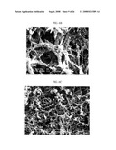 Three-Dimensional Scaffolds for Tissue Engineering Made by Processing Complex Extracts of Natural Extracellular Matrices diagram and image