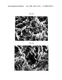 Three-Dimensional Scaffolds for Tissue Engineering Made by Processing Complex Extracts of Natural Extracellular Matrices diagram and image